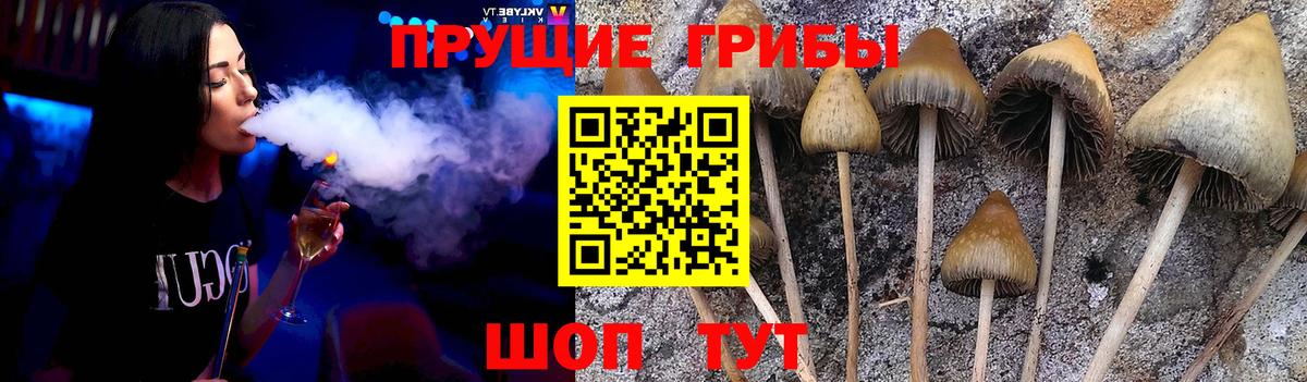 Галлюциногенные грибы MAGIC MUSHROOMS Магадан