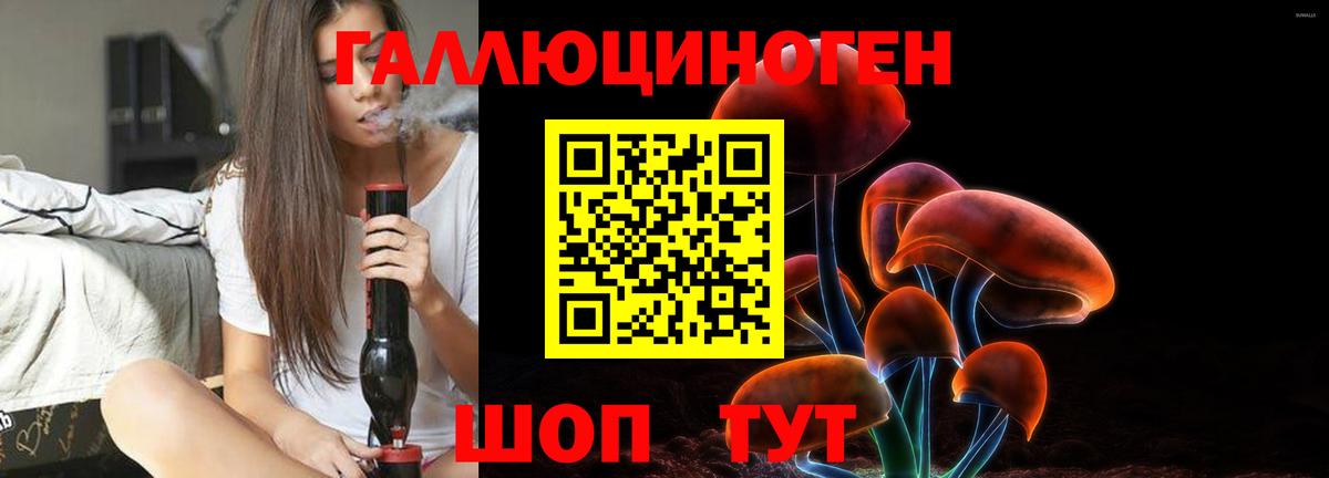 Магадан  наркошоп  Псилоцибиновые грибы Psilocybe  Вход с VPN  Псилоцибиновые грибы мухоморы 