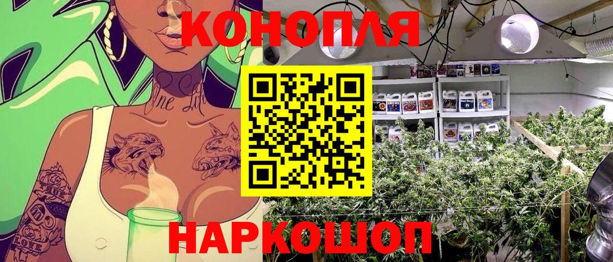 Магадан  Конопля ГИДРОПОН  Шишки марихуана Ganja  Вход с VPN  Каннабис White Widow 